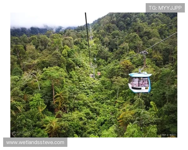 马来西亚赌场云顶股份的社会责任与可持续发展战略探讨